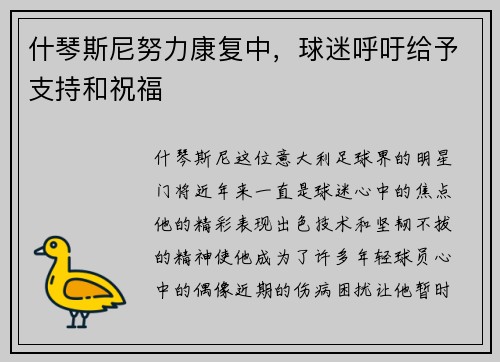 什琴斯尼努力康复中，球迷呼吁给予支持和祝福